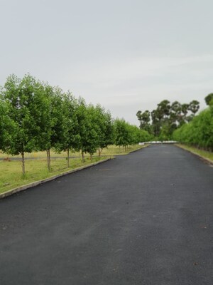 Plot Area in  Plot at Bhogapuram – for Sale