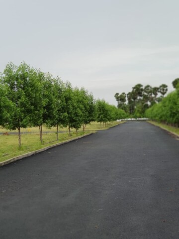 Plot Area in  Plot at Bhogapuram – for Sale