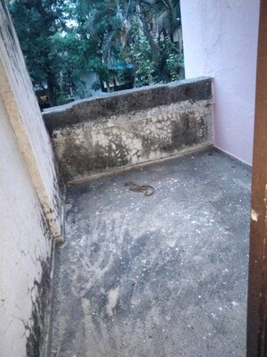 Swimming Pool in 3 BHK Villa at Gods Gift CHS, Vasai West – for Sale