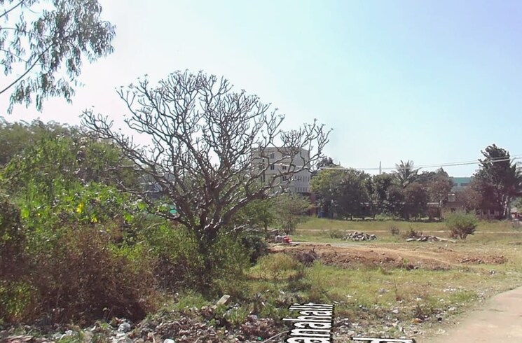 Listing Cover Image