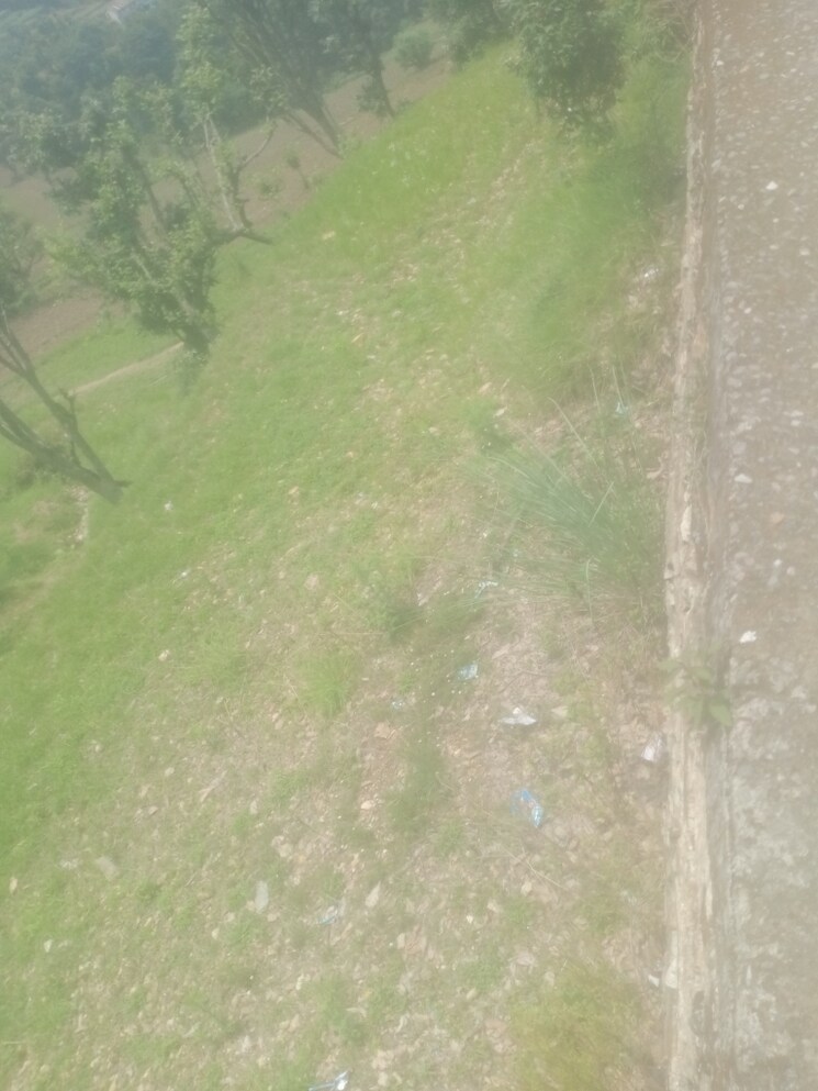 Garden, dhanachuli Commercial Land 4300 Sq.Ft. In Dhanachuli Nainital 8747932