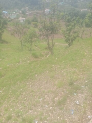  Land – Garden View at Dhanachuli - for Sale