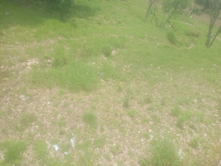 Garden, dhanachuli Commercial Land 4300 Sq.Ft. In Dhanachuli Nainital 8747932