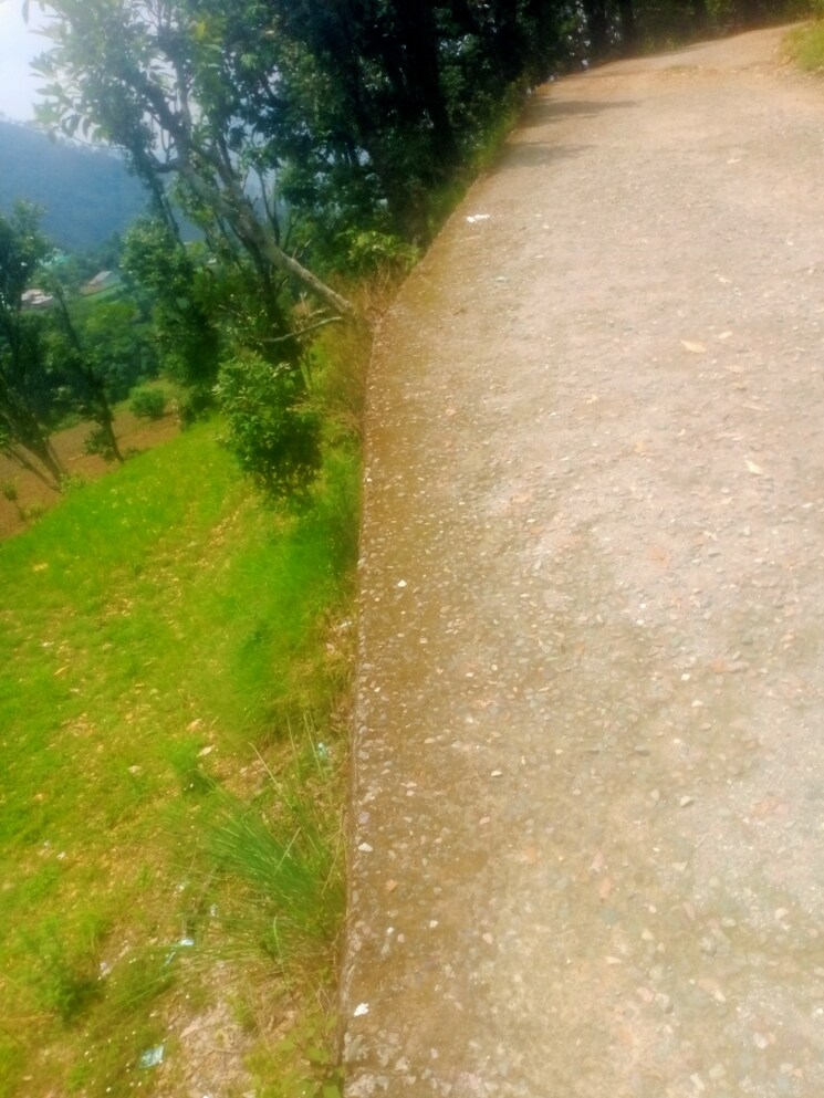 Garden, dhanachuli Commercial Land 4300 Sq.Ft. In Dhanachuli Nainital 8747932