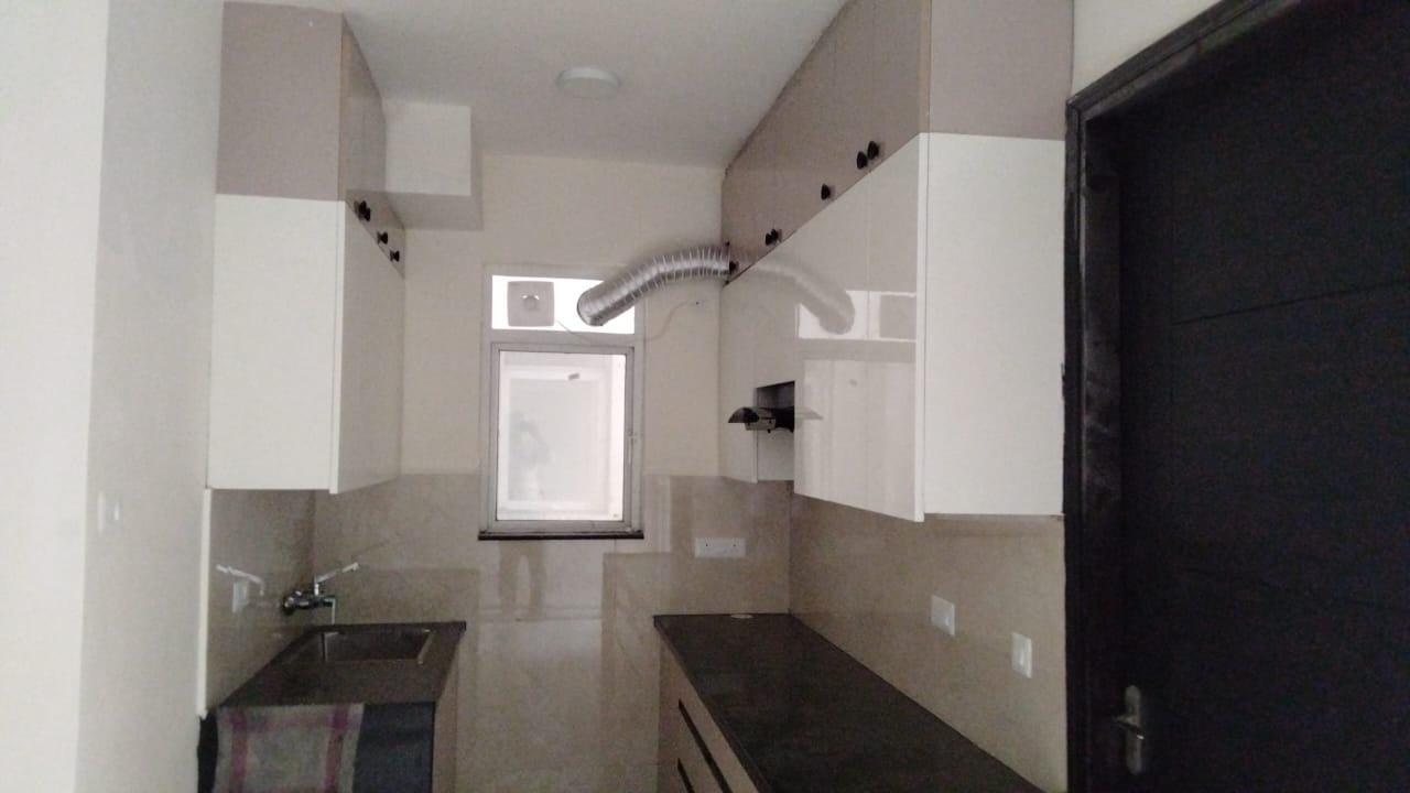 3 BHK 1120 Sq.Ft. Builder Floor in Signature Global Park 4 and 5