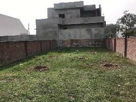 Plot For Sale in YEIDA Plots
