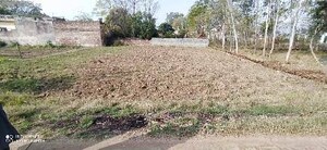 Plot Area in  Plot at YEIDA Plots, Dankaur – for Sale