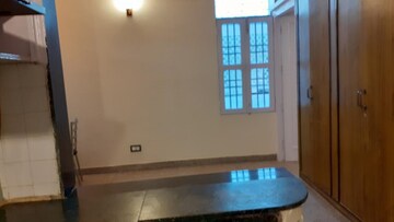 Kitchen in 1 BHK Apartment at Green Park Extension – for Rent