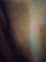 2 BHK + Extra Room 960 Sq.Ft. Apartment in Malpani Greens