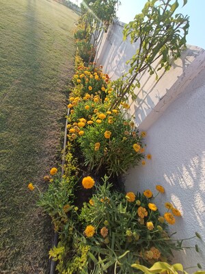  Plot – Garden View at Ringnodiya - for Sale