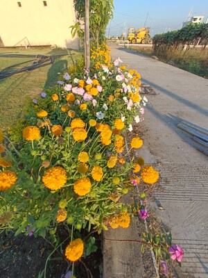  Plot – Garden View at Ringnodiya - for Sale