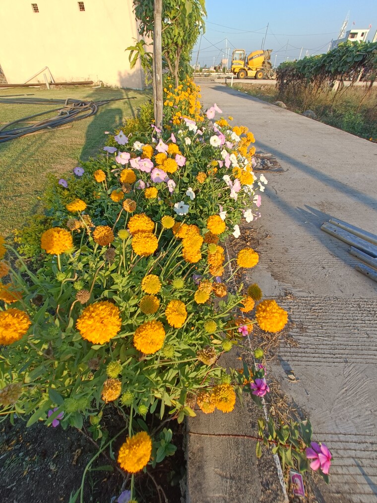 Garden, ringnodiya  1100 Sq.Ft. Plot In Ringnodiya Indore 8748191