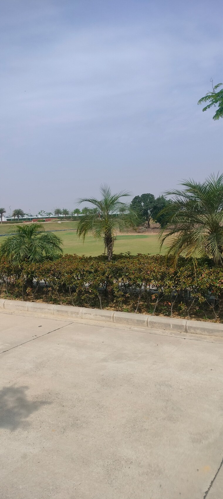 undefined, hare-krishna-residency  150 Sq.Yd. Plot In Sidipur Greater Noida 8748244