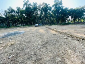 Plot Area in  Plot at Badowala – for Sale