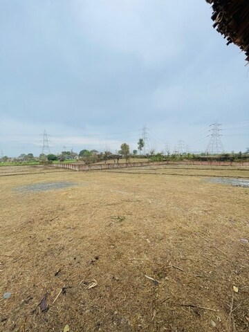 Plot Area in  Plot at Badowala – for Sale