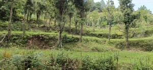  Land For Sale in Bhimtal