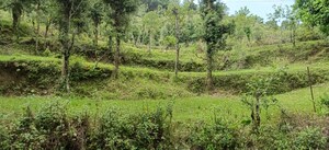 Plot Area in  Land at Bhimtal – for Sale