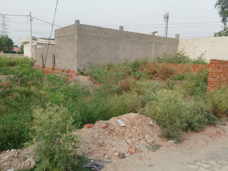 Nearby, sector 142  450 Sq.Ft. Plot In Sector 142 Noida 8748426