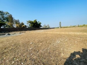  Plot For Sale in Badowala