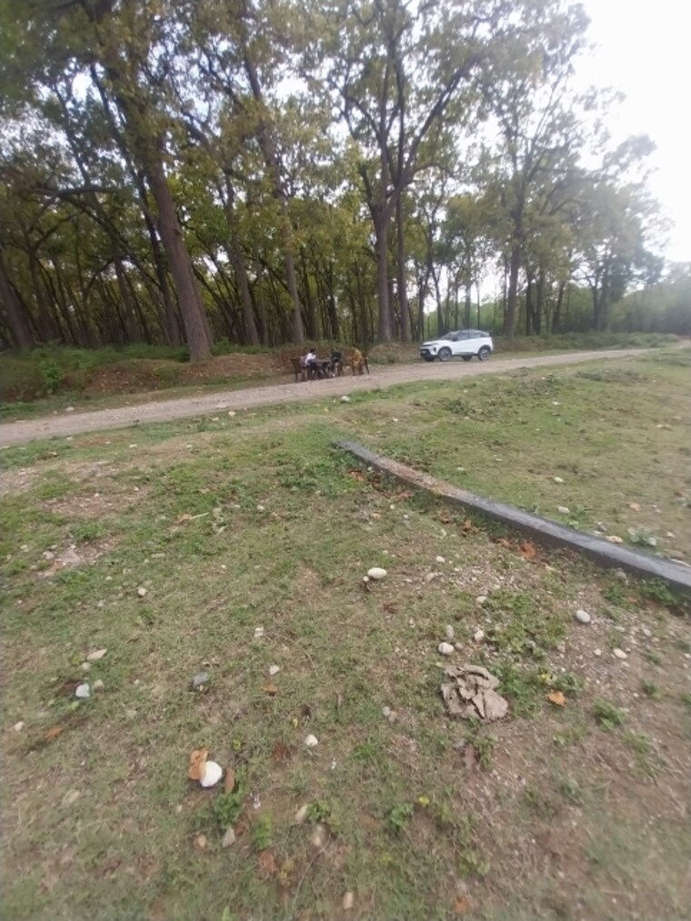 Garden, badowala  135 Sq.Yd. Plot In Badowala Dehradun 8748533