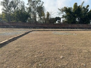 Plot Area in  Plot at Badowala – for Sale