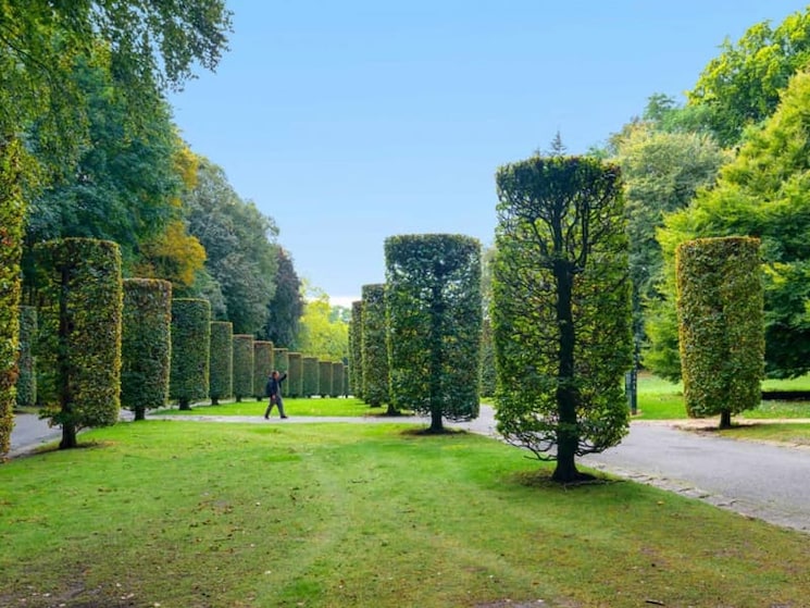 Garden, whiteland-the-aspen 4 Bedroom 4054 Sq.Ft. Apartment In Sector 76 Gurgaon 8748557