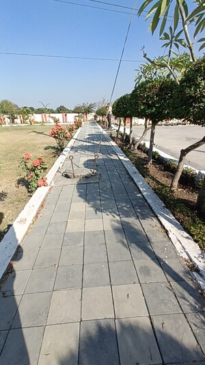  Plot – Exterior View View at Ringnodiya - for Sale