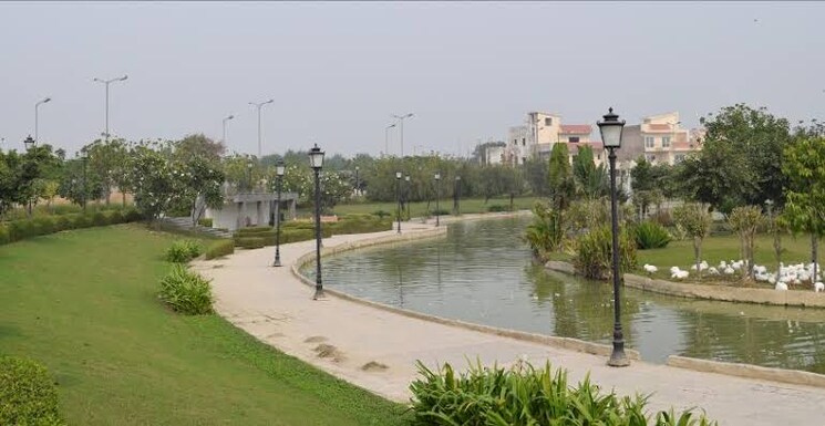 Exterior View, gaur-yamuna-city Commercial Land 93 Sq.Yd. In Gaur Yamuna City Greater Noida 8749032