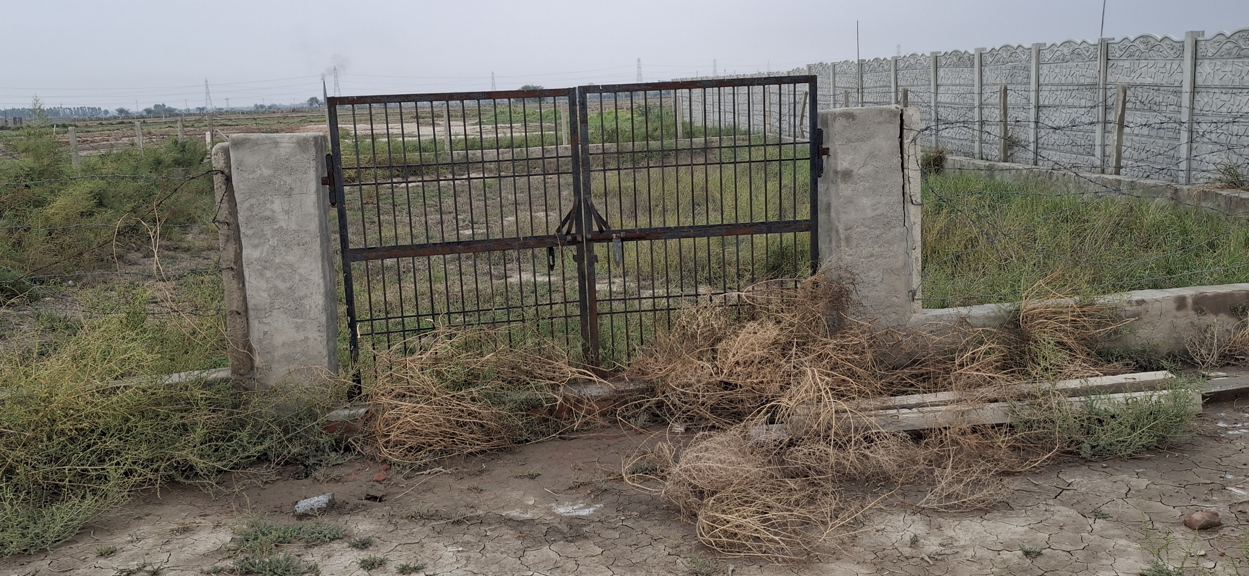 Plot For Sale in Mk Propty 