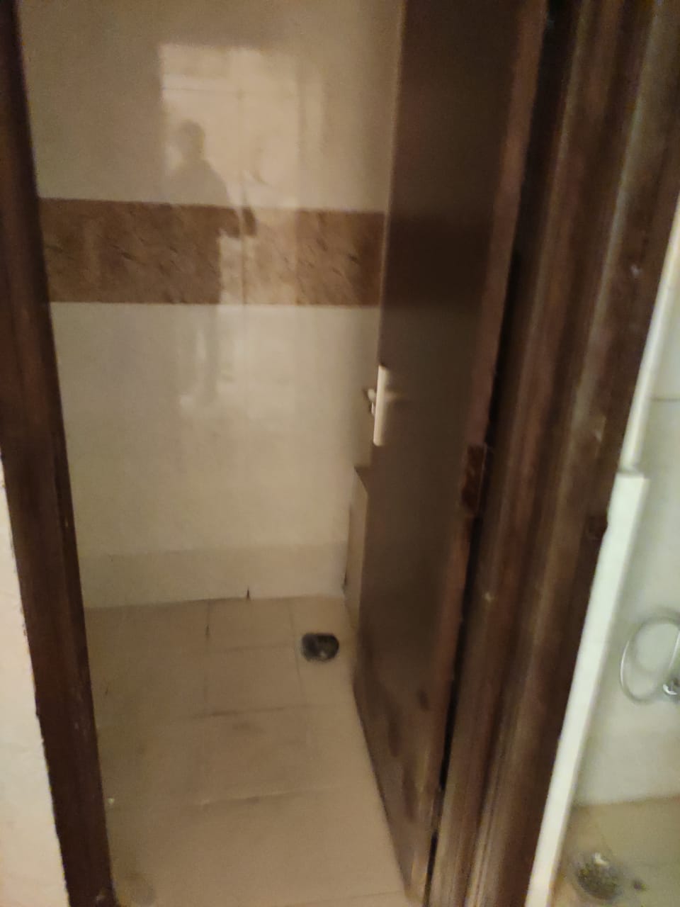 3 BHK + Extra Room Apartment For Rent in Supertech Ecovillage I