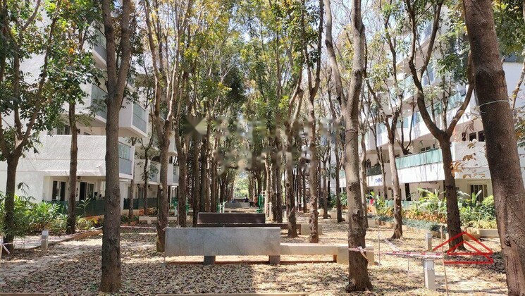 Swimming Pool, mana-tropicale 2 Bedroom 800 Sq.Ft. Apartment In Gattahalli Bangalore 8749212