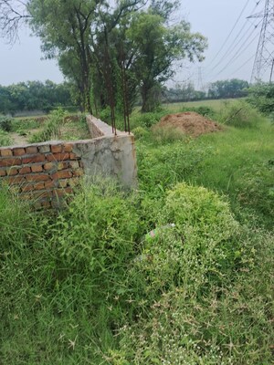  Plot For Sale in Suncity