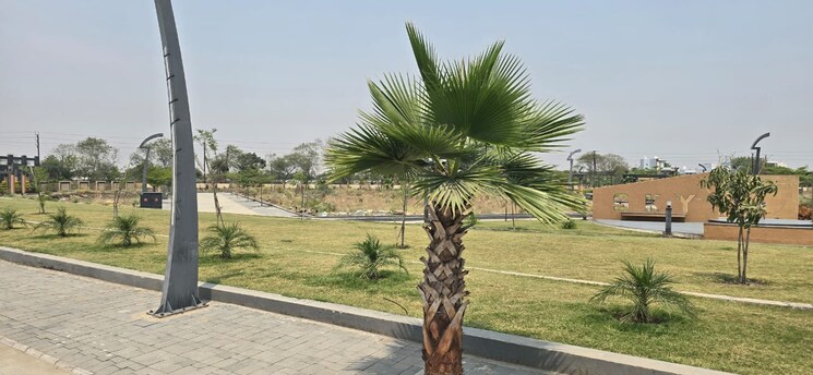 Garden, super corridor  600 Sq.Ft. Plot In Super Corridor Indore 8749419
