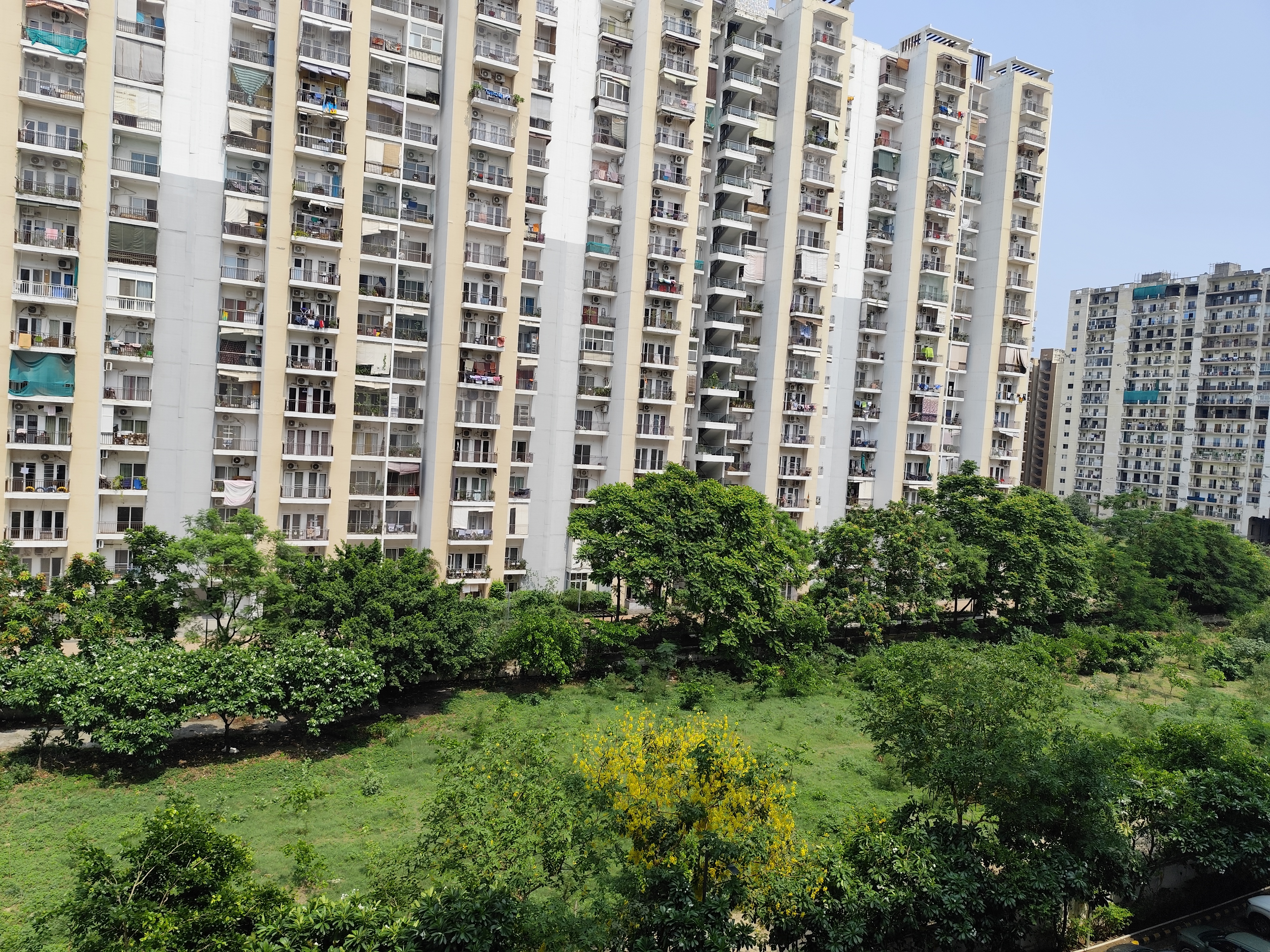 2.5 BHK + Study Room Apartment For Rent in Maxblis White House