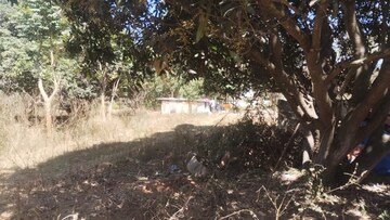 Plot Area in  Plot at Chikkagubbi Village – for Sale