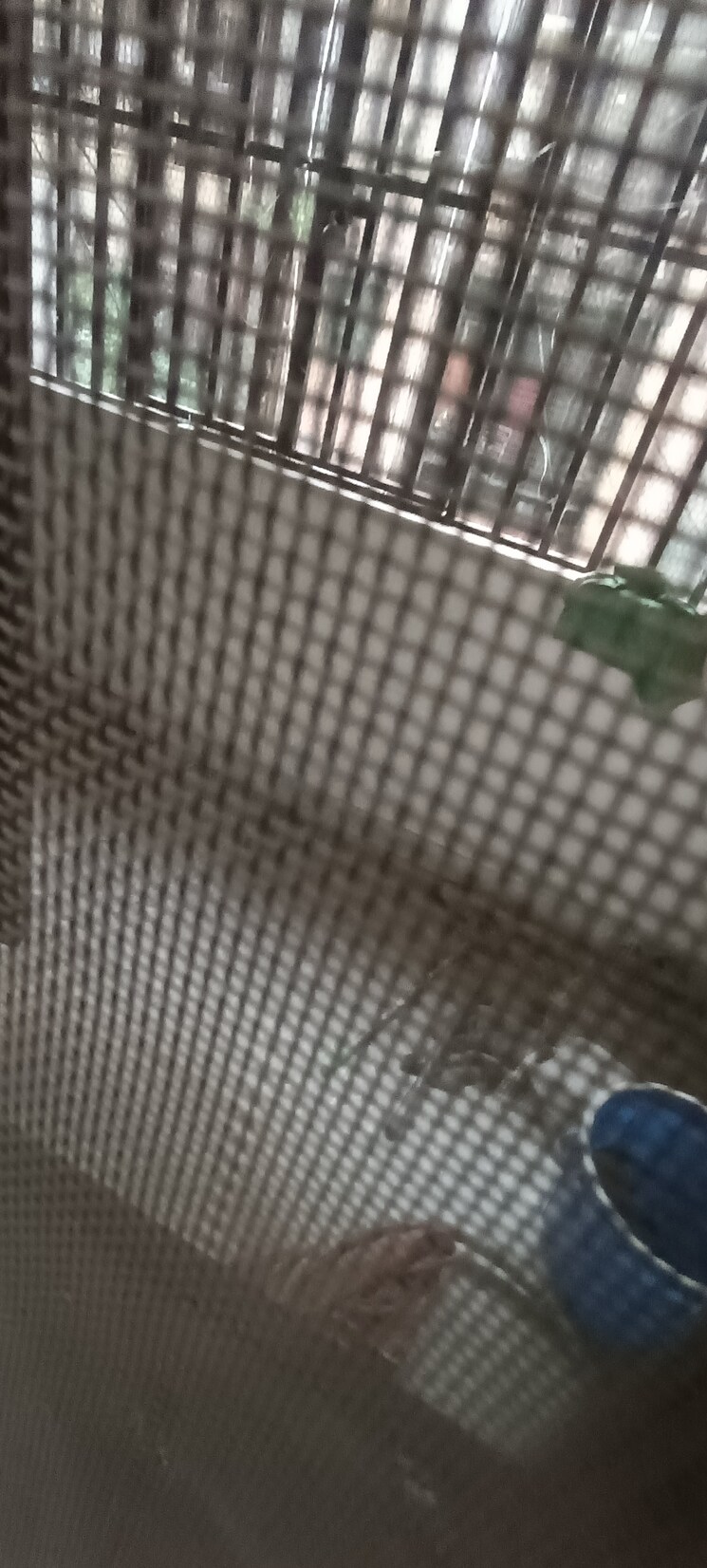 Balcony, kalkaji 3.5 Bedroom 1800 Sq.Ft. Builder Floor In Kalkaji Delhi 8750208