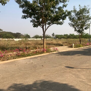 Plot Area in  Plot at House of Hiranandani Devanahalli, Devanahalli – for Sale