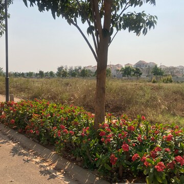  Plot For Sale in House of Hiranandani Devanahalli, Devanahalli