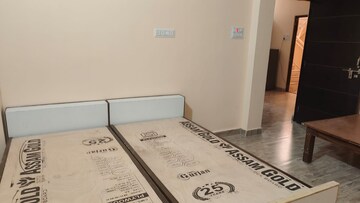 2 BHK Apartment For Rent in Tikhampur