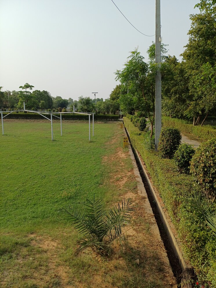 Garden, jewar  139 Sq.Yd. Plot In Jewar Greater Noida 8751036