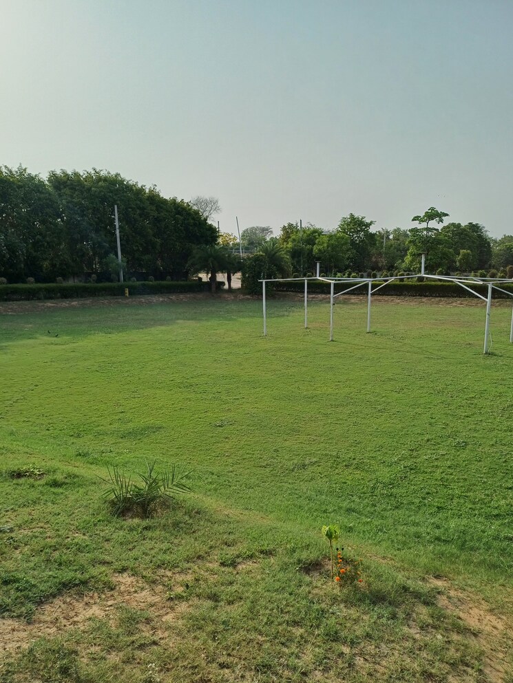 Garden, jewar  140 Sq.Yd. Plot In Jewar Greater Noida 8751103
