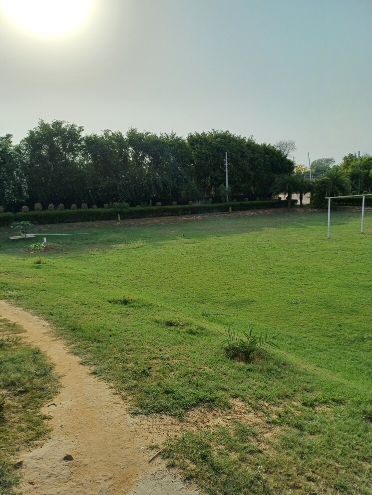 Garden, jewar  142 Sq.Yd. Plot In Jewar Greater Noida 8751161