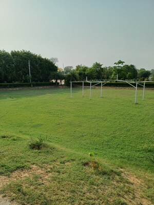  Plot – Garden View at Jewar - for Sale