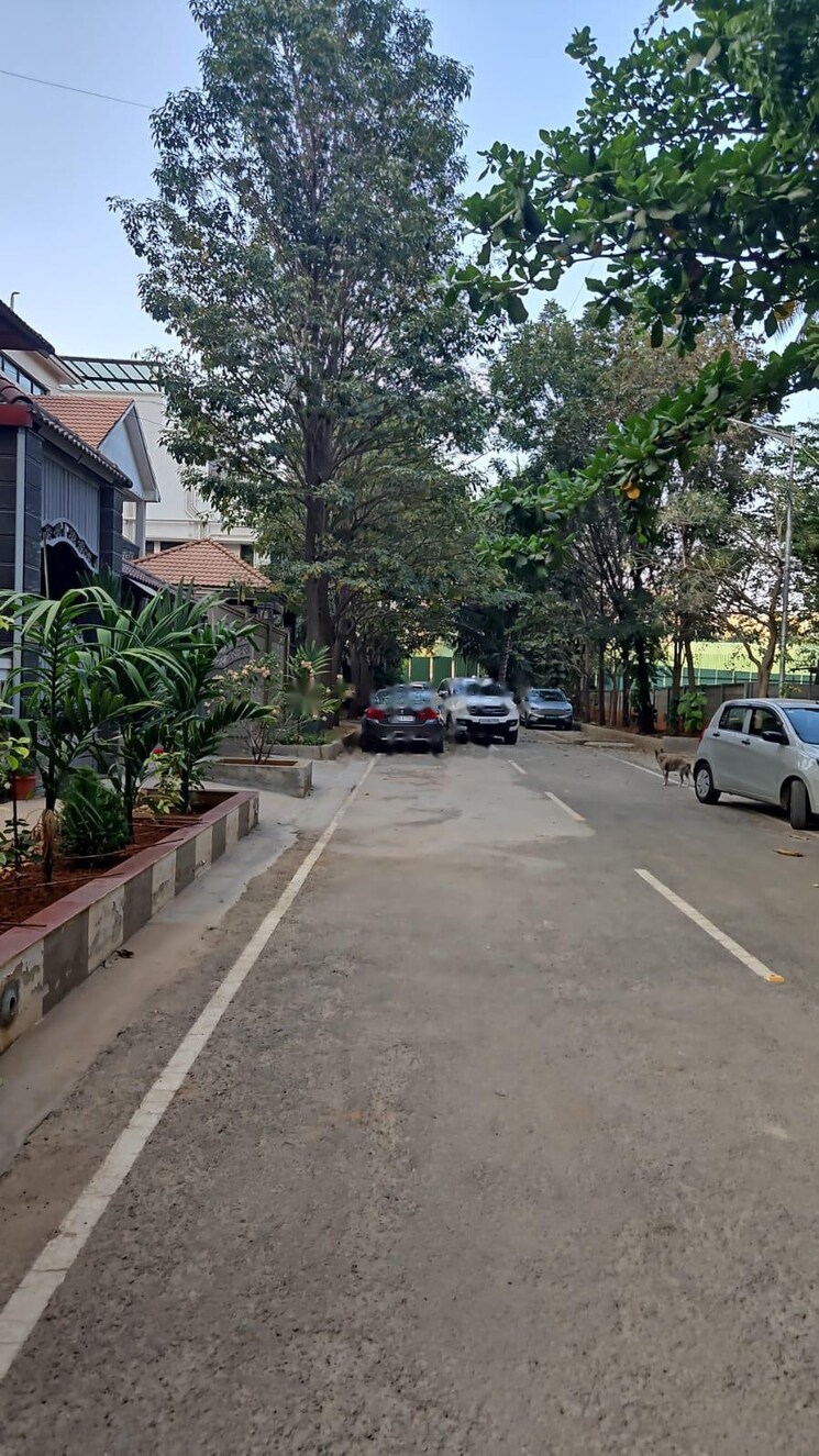  Parking, feha-maples 6+ Bedroom 5500 Sq.Ft. Apartment In Benson Town Bangalore 8751444