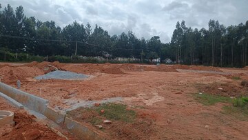 Plot Area in  Plot at Devanahalli – for Sale