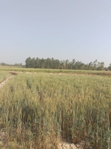 Plot Area in  Plot at Sultanpur Road – for Sale