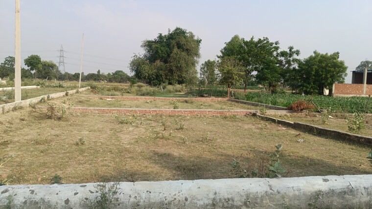 undefined, sultanpur road  1000 Sq.Ft. Plot In Sultanpur Road Lucknow 8751998