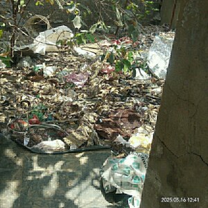  Plot For Sale in Shaheed Bhagat Singh Nagar