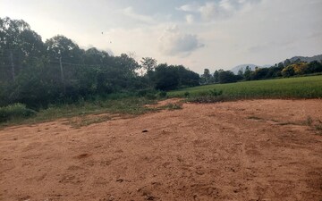 Plot For Sale in Devanahalli