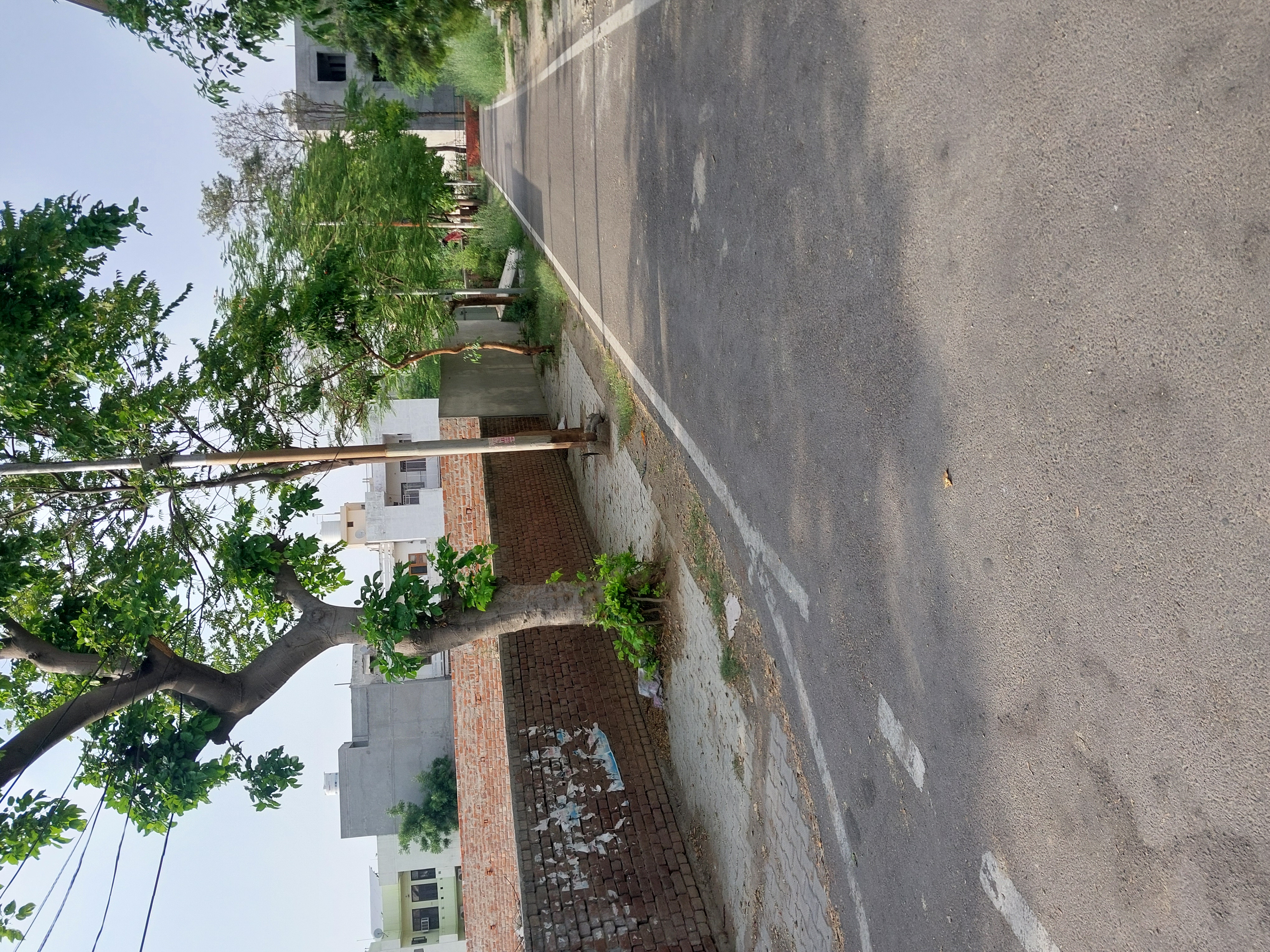 Land For Sale in Bhai Randhir Singh Nagar